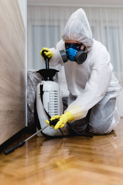 Best Pest Prevention Services  in Westminster, CA